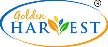 Golden Harvest Organic Extra Virgin Coconut Oil -500 ml | CERTIFIED ORGANIC